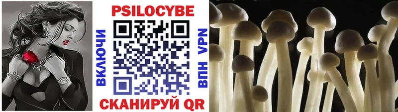 магазин продажи наркотиков  Нижнеудинск  omg ONION  Псилоцибиновые грибы Psilocybine cubensis 