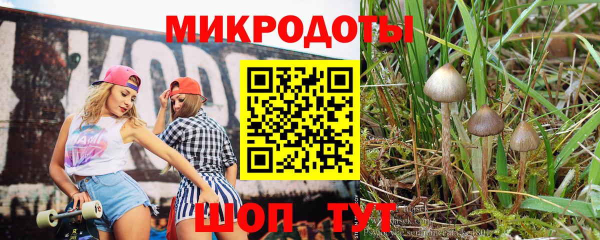 Галлюциногенные грибы мухоморы Нижнеудинск