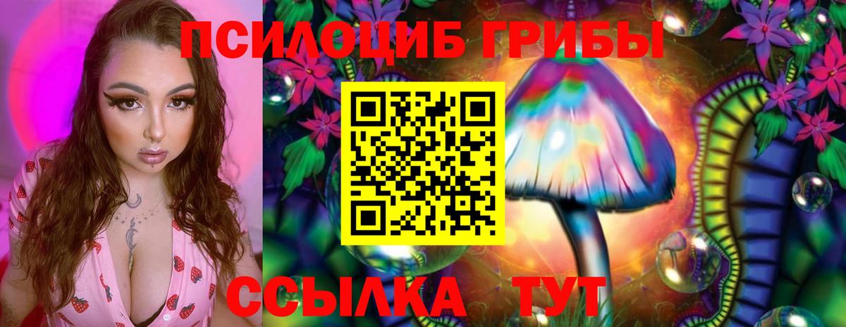 Псилоцибиновые грибы GOLDEN TEACHER  Вход с VPN  Нижнеудинск 