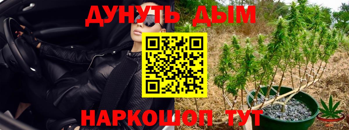 Бошки Шишки OG Kush Нижнеудинск